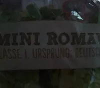 Mängden socker i Roma Salatherzen