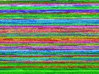 Mängden socker i Frisches Lachsforellen-Fillet mit Haut