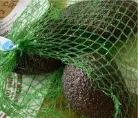 Mängden socker i Avocados