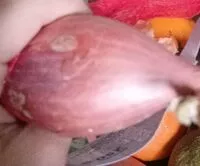 Mängden socker i Schalotten