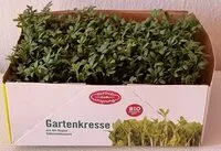 Mängden socker i Gartenkresse