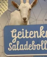 Mängden socker i Geitenkaas saladebolletjes 45+