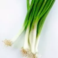 Mängden socker i Green Onions