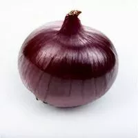 Mängden socker i Red Onion