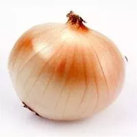 Mängden socker i Spanish Onion