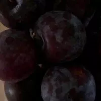 Mängden socker i Pflaumen