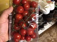 Mängden socker i Cherryrisptomaten