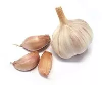 Mängden socker i Knoblauch