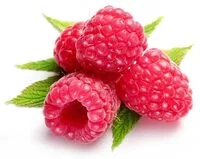 Mängden socker i Erntefrische Himbeeren tiefgefroren