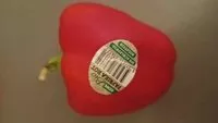 Mängden socker i Paprika rot frisch