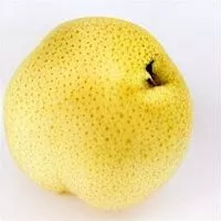 Mängden socker i Asian Yellow Pear