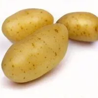 Mängden socker i Yukon Gold Potato