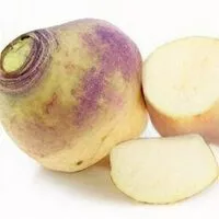 Mängden socker i Rutabaga