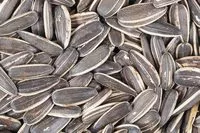 Mängden socker i Sunflower seeds