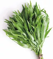 Mängden socker i Tarragon Packaging