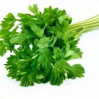 Mängden socker i Italian Parsley