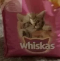 Mängden socker i Kitten 2-12 months