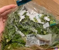 Mängden socker i Kale