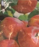 Mängden socker i Royal gala apples