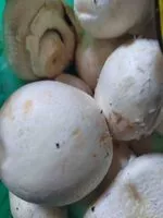 Mängden socker i Close Cup Mushroom