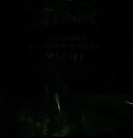 Mängden socker i Cranberry Blueberry &pecan muesli