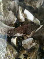 Mängden socker i Oyster mushroom