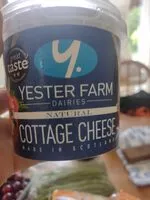 Mängden socker i Cottage Cheese