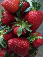 Mängden socker i Erdbeeren