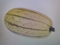 Mängden socker i Potiron spaghetti