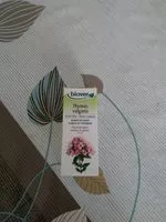 Mängden socker i Huile de plantes thym