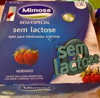 Mängden socker i Mimosa sem lactose