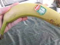 Mängden socker i Bananes