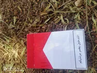 Mängden socker i cigarettes