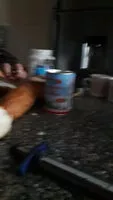 Mängden socker i جبنة المراعي كبير