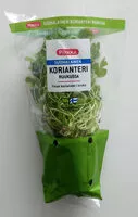 Mängden socker i Suomalainen korianteri ruukussa