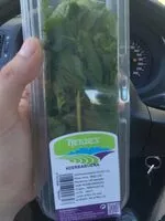 Mängden socker i Hierbabuena