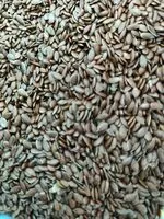 Mängden socker i Flax Seed (Linfrön)