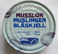 Mängden socker i Musslor i vatten