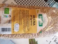 Mängden socker i Avena en grano