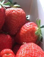 Mängden socker i Fruits Suisses Fraises