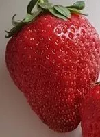 Mängden socker i Fraises