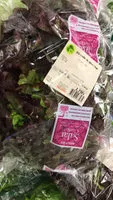 Mängden socker i feuille de chêne rouge