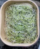 Mängden socker i Zwoebelsprossen