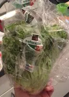 Mängden socker i Salade vert