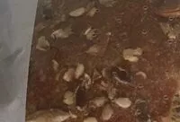 Mängden socker i Pain Pagnol Foncé Bio