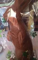 Mängden socker i Chocolat au lait suisse