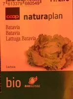 Mängden socker i Batavia