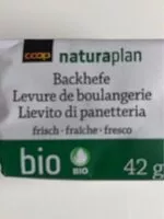 Mängden socker i Hefe