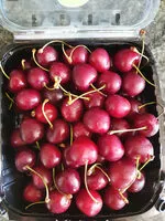 Mängden socker i Cerises rainier