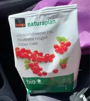Mängden socker i Johannisbeeren rot